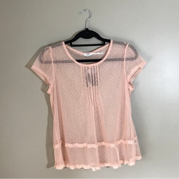 Urban Outfitters Tops - 🌹 UO Kimchi Blue NWT Sheer Pink Boxy Top